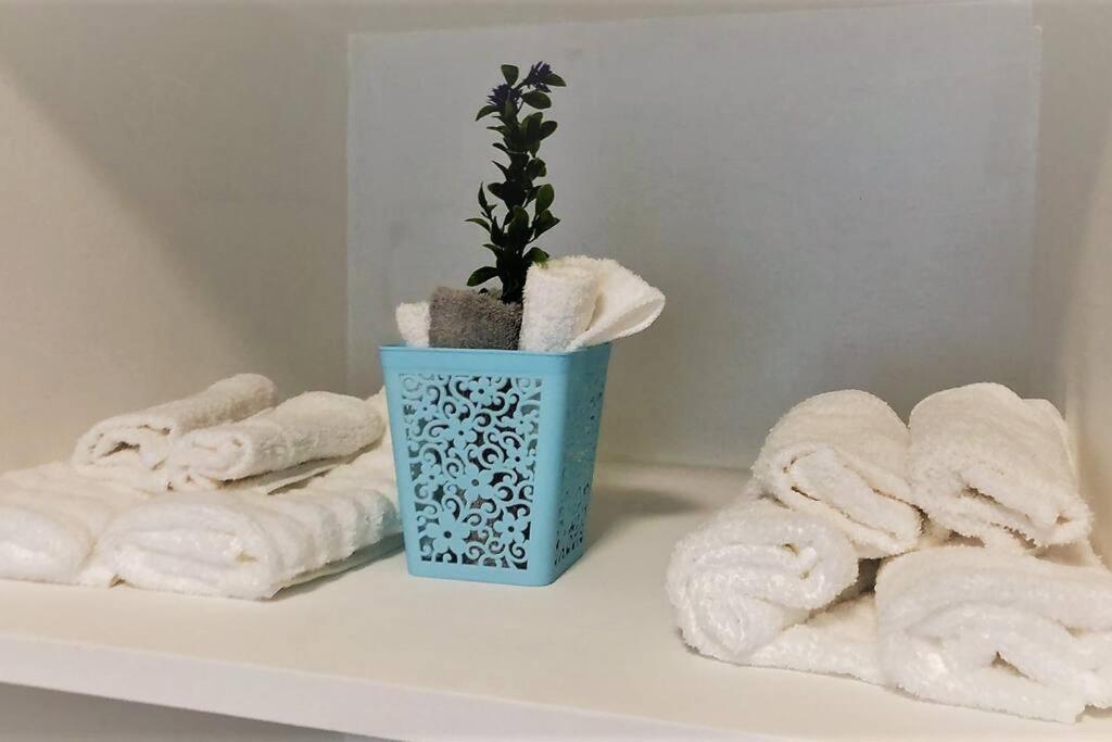 Lovely 1 Bedroom Apartment W/Private Parking Ensenada Extérieur photo